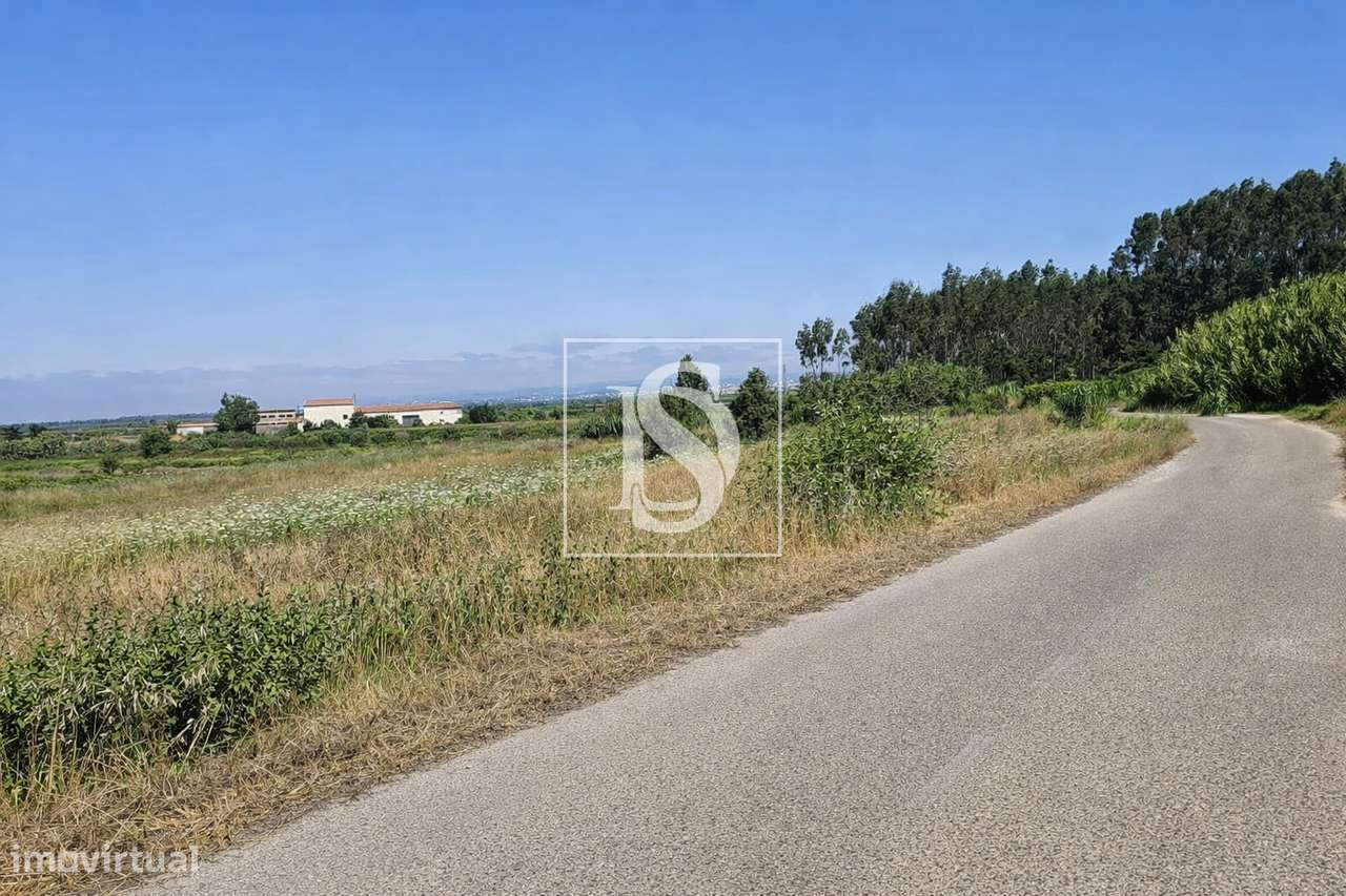 Terreno Para Construção  Venda em Alqueidão,Figueira da Foz-24