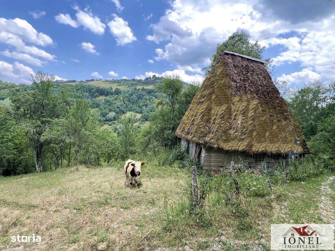 Casa cu 17.596 mp teren de vanzare in Muntii Apuseni - Imagine principală: 1/18