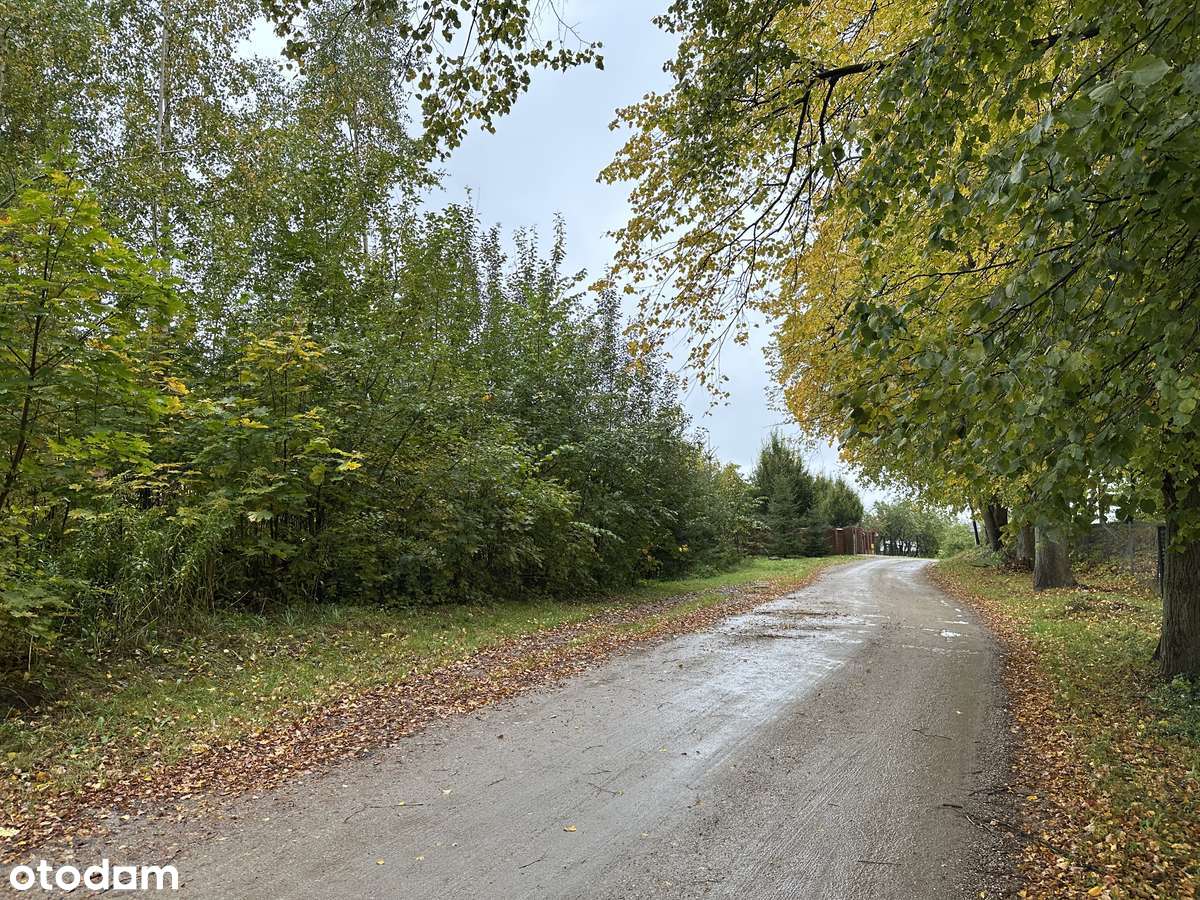 Działka budowlana Marcinkowo/Mrągowo - Pełny obrazek: 4/9