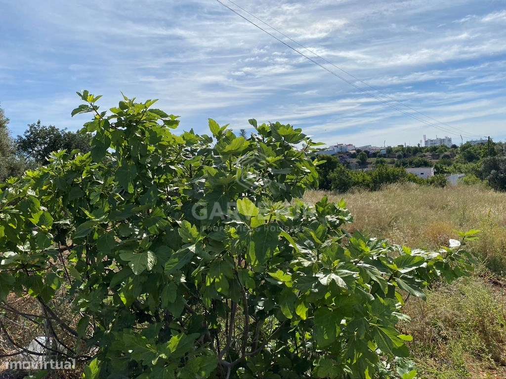 Terreno urbano com 4 947m2. Loulé, Algarve - Grande imagem: 5/16