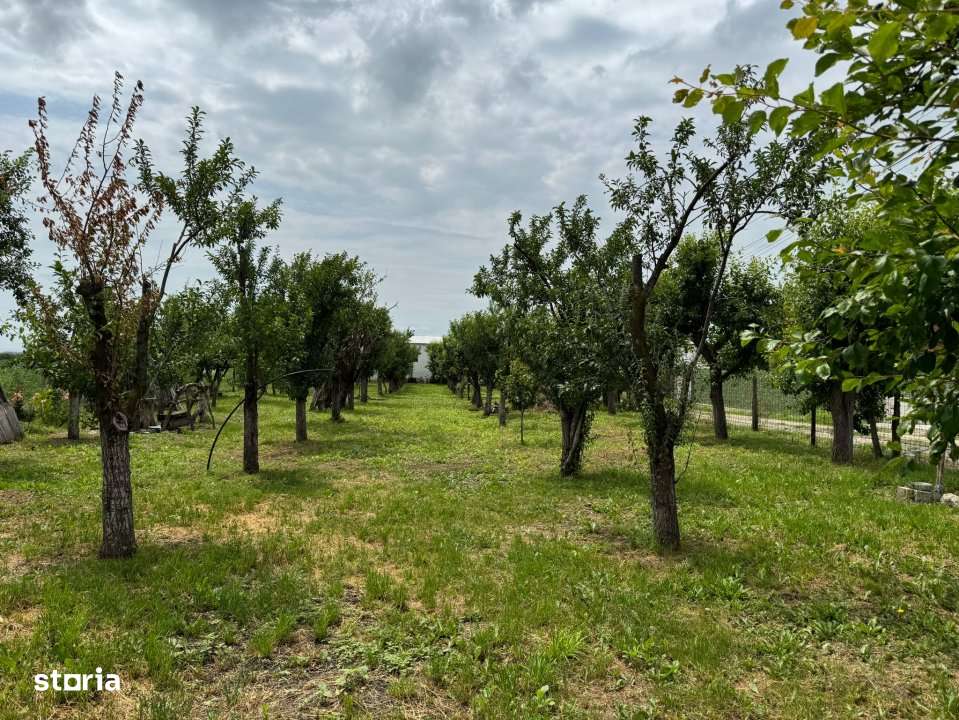 Teren Intravilan - Str. Gorganu, Calinesti - 1268 mp! - Imagine principală: 5/7