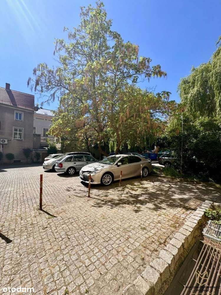 Lokal ścisłe centrum - deptak, blisko Sądu-17