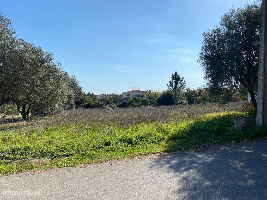 Terreno - Zona Monte Real - Grande imagem: 5/13