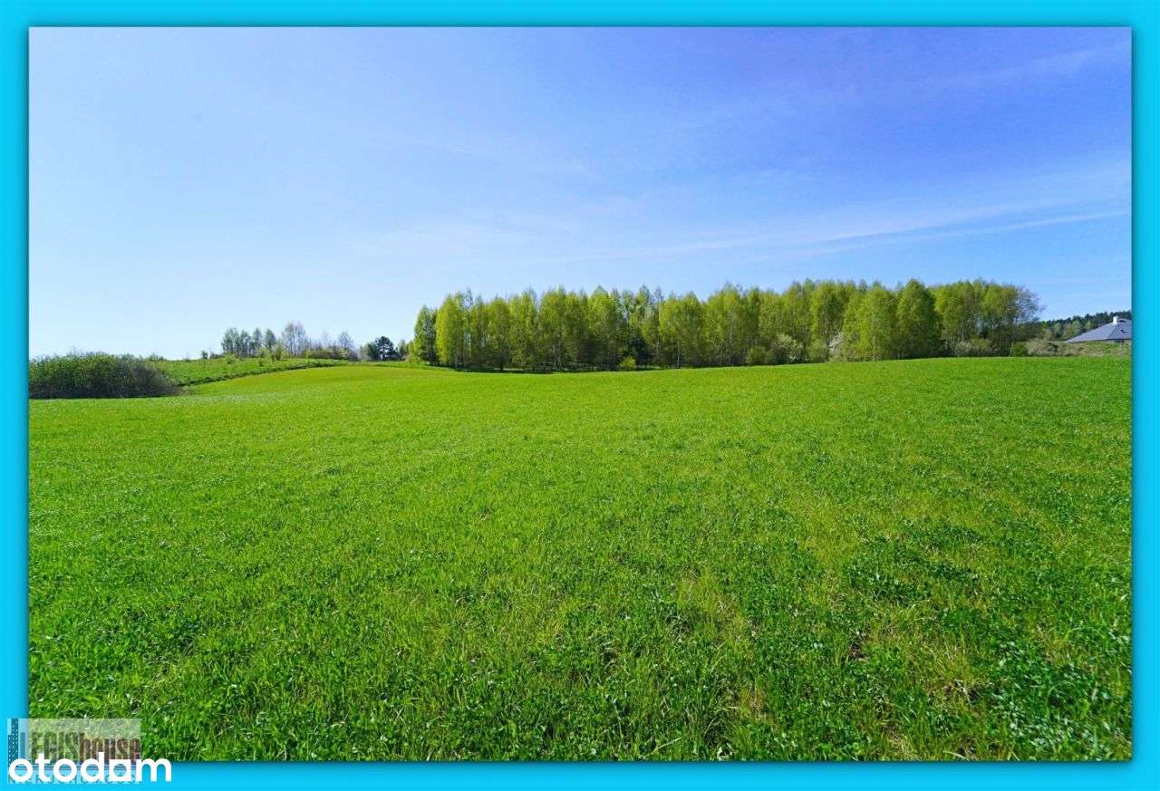 Różnowo* 3004 m2* możliwość podziału na 2 działki-5