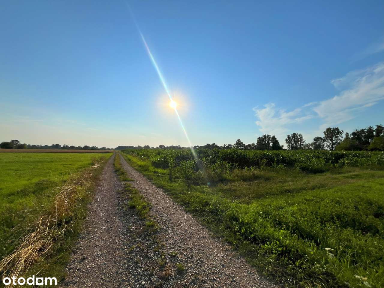 Żabiec - działka z możliwością zabudowy-2