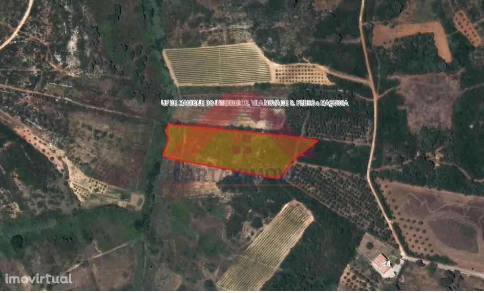 Terreno Rústico  Venda em Manique do Intendente, Vila Nova de São Pedr