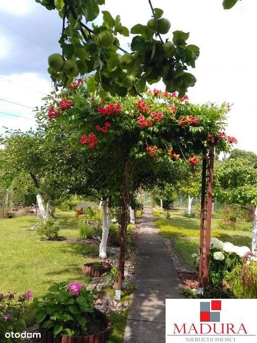 Rod-Piękna działka rekreacyjna-615m2 - Pełny obrazek: 2/15