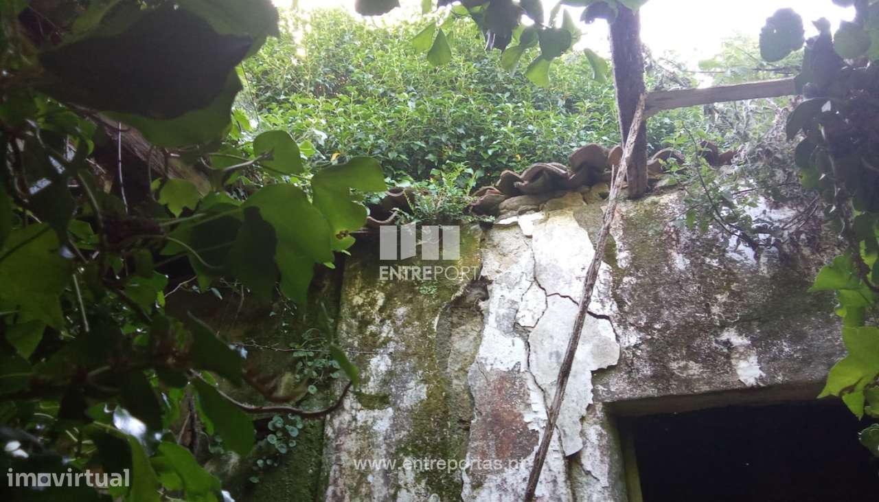 Terreno com ruína em pedra para venda, Dem, Caminha - Grande imagem: 4/23