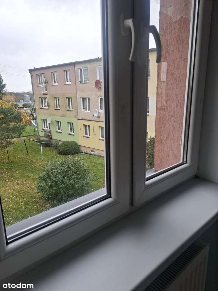 Kawalerka w Nasiegniewie. - Pełny obrazek: 5/11