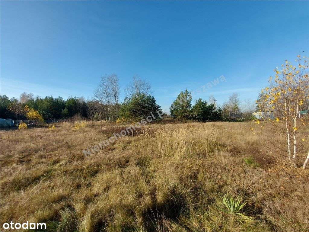 Działka Na Wymarzony Dom, Skrzynka Z Prądem I Siłą - Pełny obrazek: 5/12