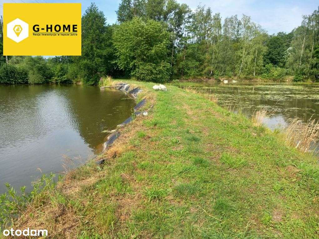 Tereny zielone - Działka z potencjałem-5