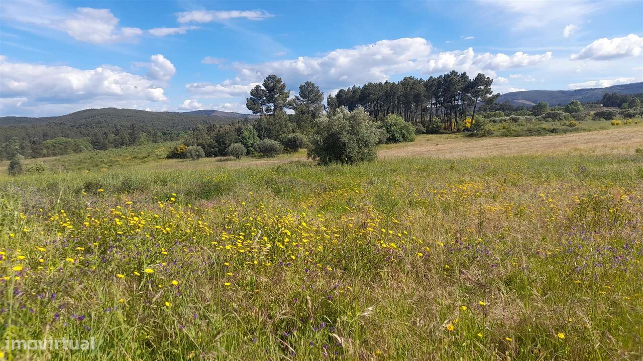Herdade T0 Venda em Enxames,Fundão-13