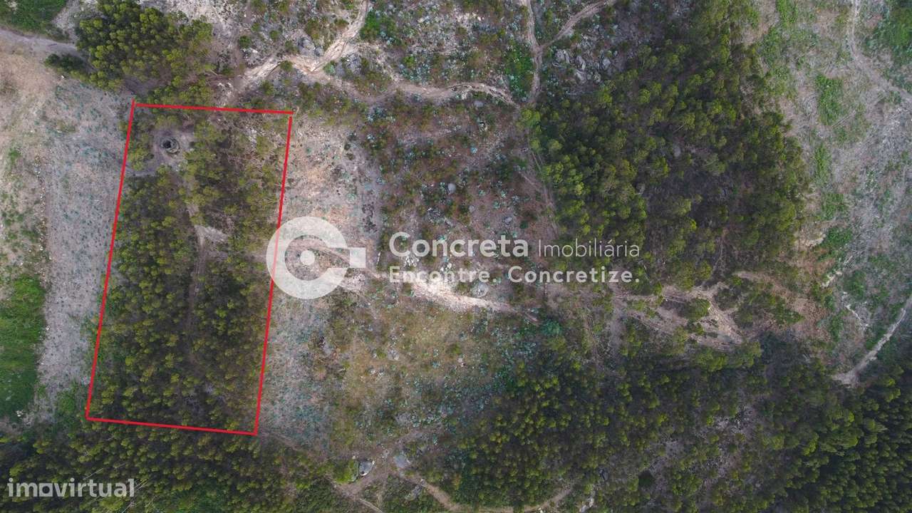 Moinho histórico em Guimarães - Grande imagem: 5/12