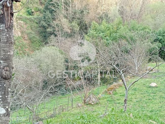 Oportunidade Única: Quinta para Habitação, Turismo ou Agricultura em M-34