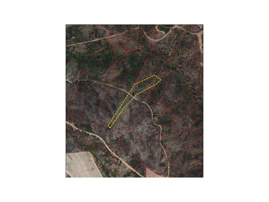 Conjunto de Terrenos Rústicos com 21.120 m² em Mação - Potencial Fl... - Grande imagem: 4/4