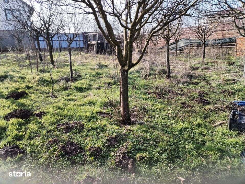 Teren intravilan 609 mp Vidra, deschidere 24 m, ideal pentru construct - Imagine principală: 4/9