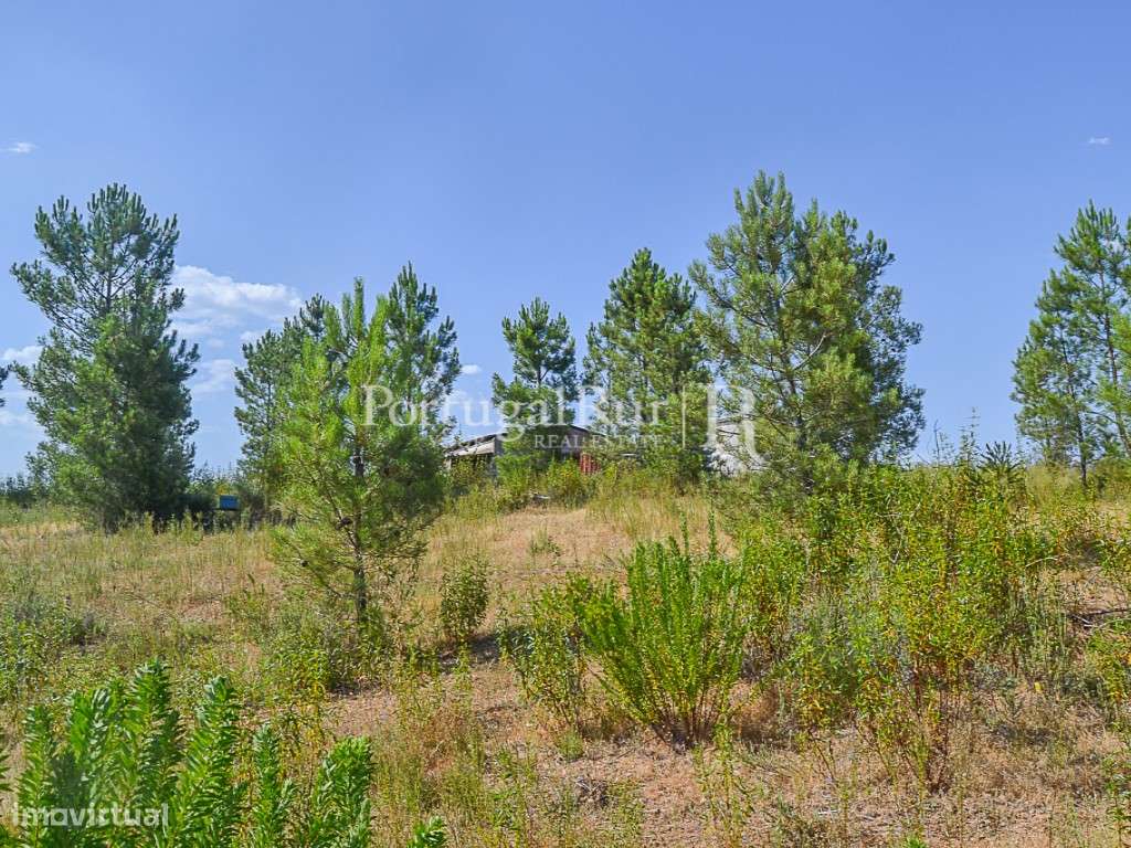 Terreno com 5.080 m² para construção de moradia - próximo de Proenç... - Grande imagem: 5/8