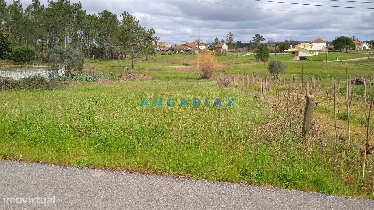 ANG1371 - Terreno  de 1170 m² para Venda em Almagreira, Pombal - Grande imagem: 3/17