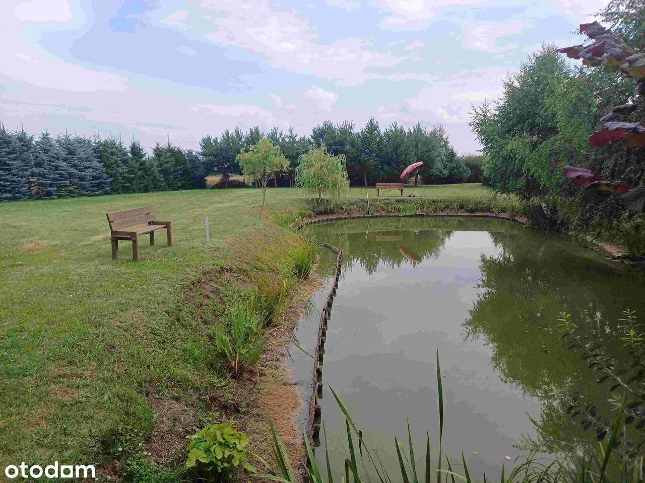 NOWY ZAMEK Piękny dom, duża działka z własnym stawem w Dolinie Baryczy-17