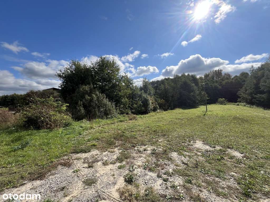 Działka 1441 m2 prze drodze 747 w Lipie Miklas. - Pełny obrazek: 5/10