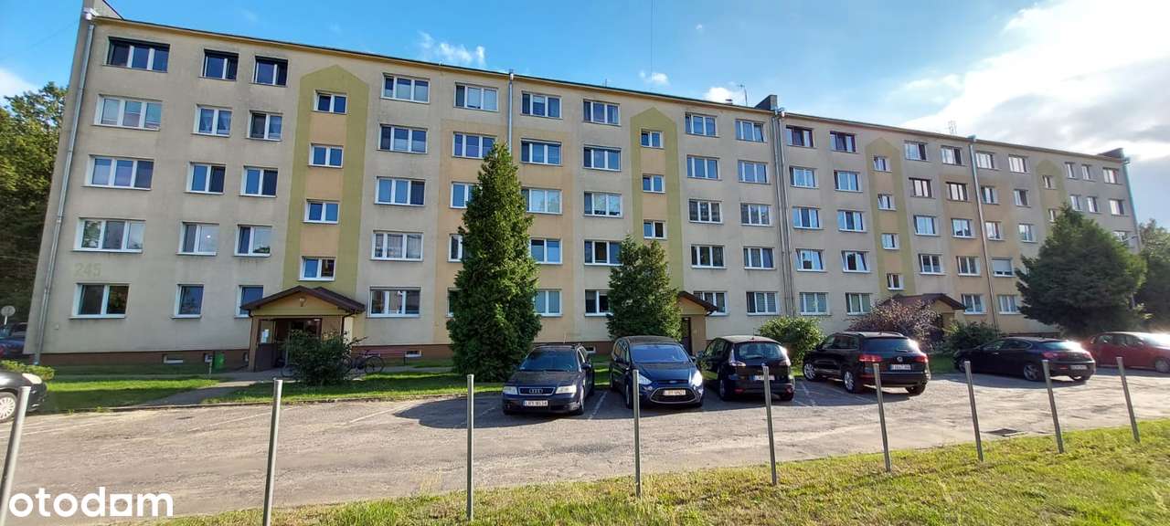 Spokojna okolica I 3 pokoje I OKAZJA! - Pełny obrazek: 5/17