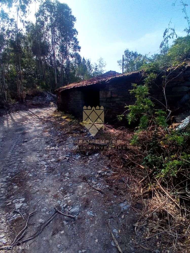 Oportunidade Única: Terreno com 4 Casas para Restauro em Zona de Ref?-14