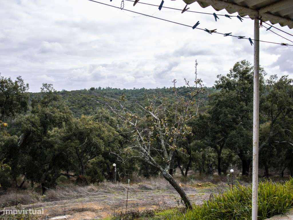 ** Fantástico Monte Alentejano com 50.000m2 Próximo a Maravilhosa C...-15
