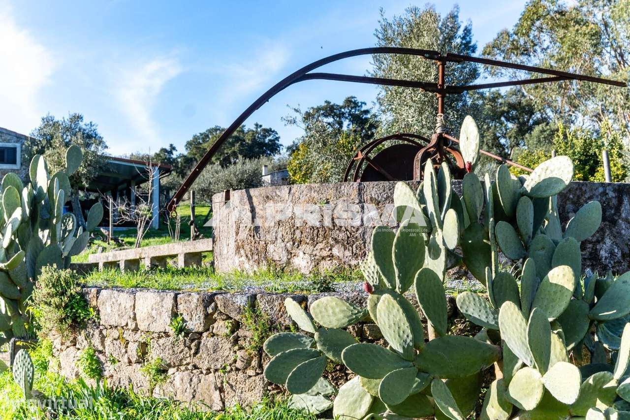 Quinta para venda em Escalos de Cima-32