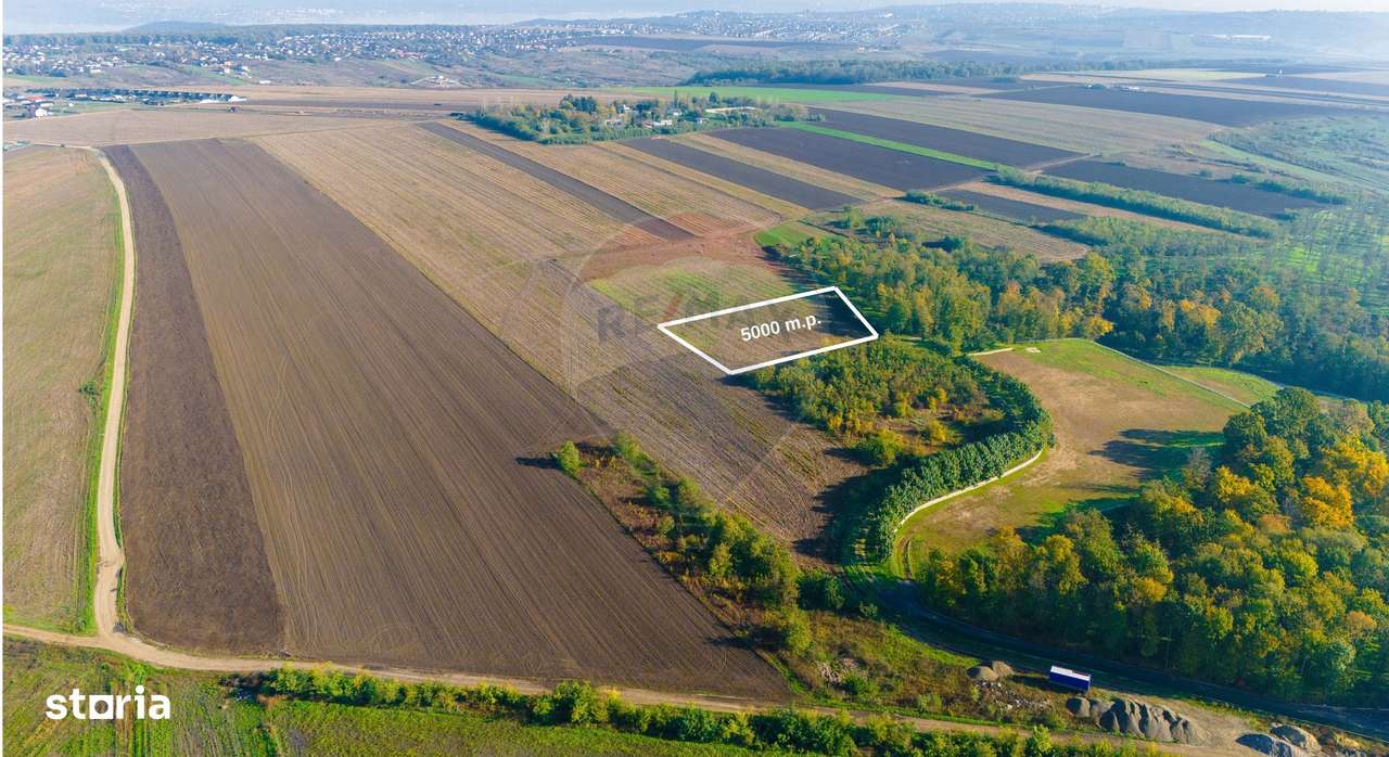 Teren 5,000mp Vorovesti / None - Imagine principală: 1/5