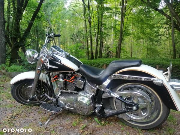 Harley-Davidson Softail - 1