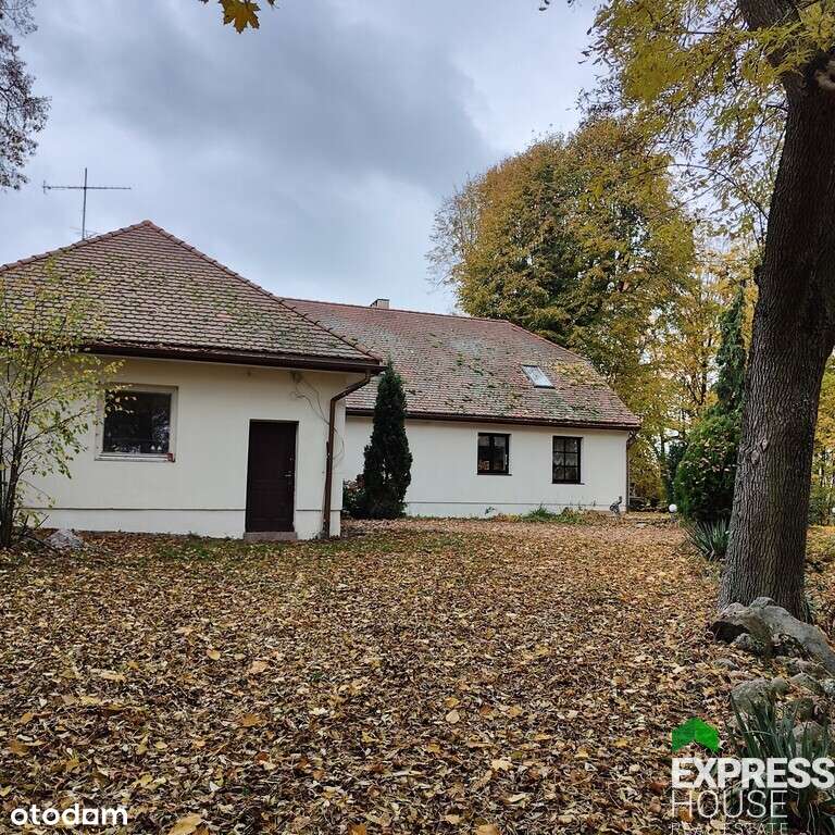 Dworek w klimatycznym otoczeniu starych drzew - Pełny obrazek: 5/20