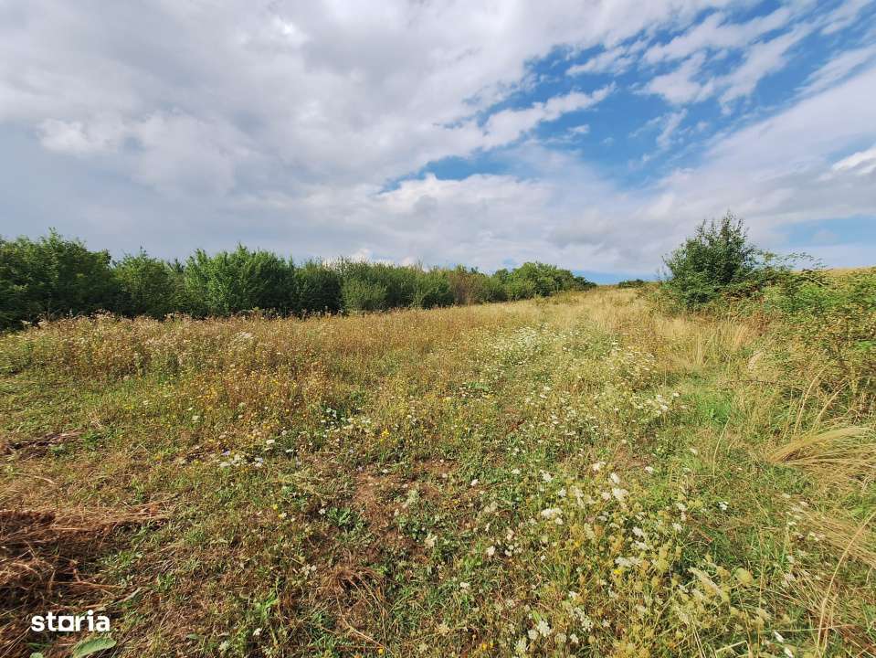 Oportunitate! Teren intravilan de vanzare, 2000 mp., Tureni - Imagine principală: 5/5