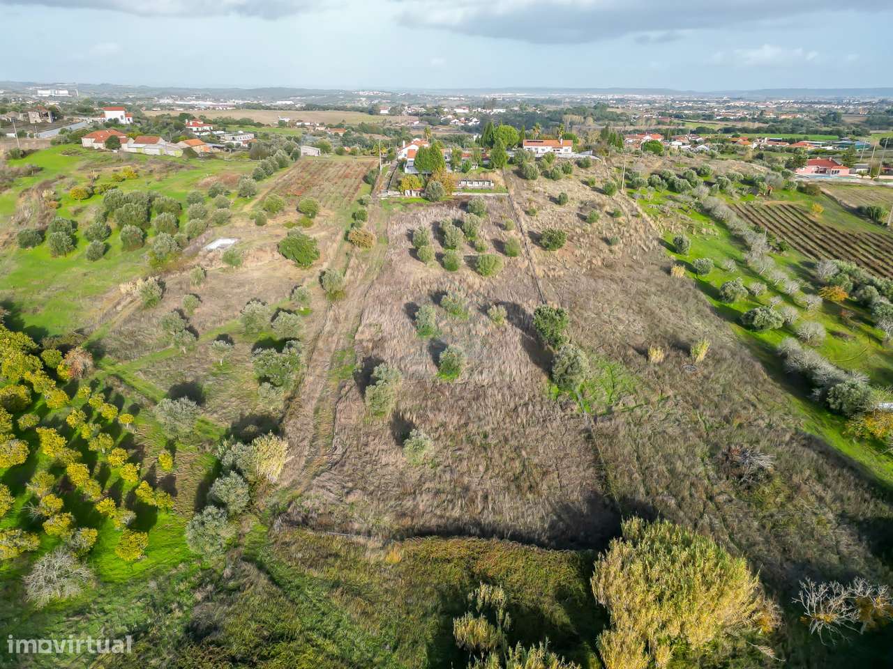 Moradia T3 em Carril - Torres Novas-5