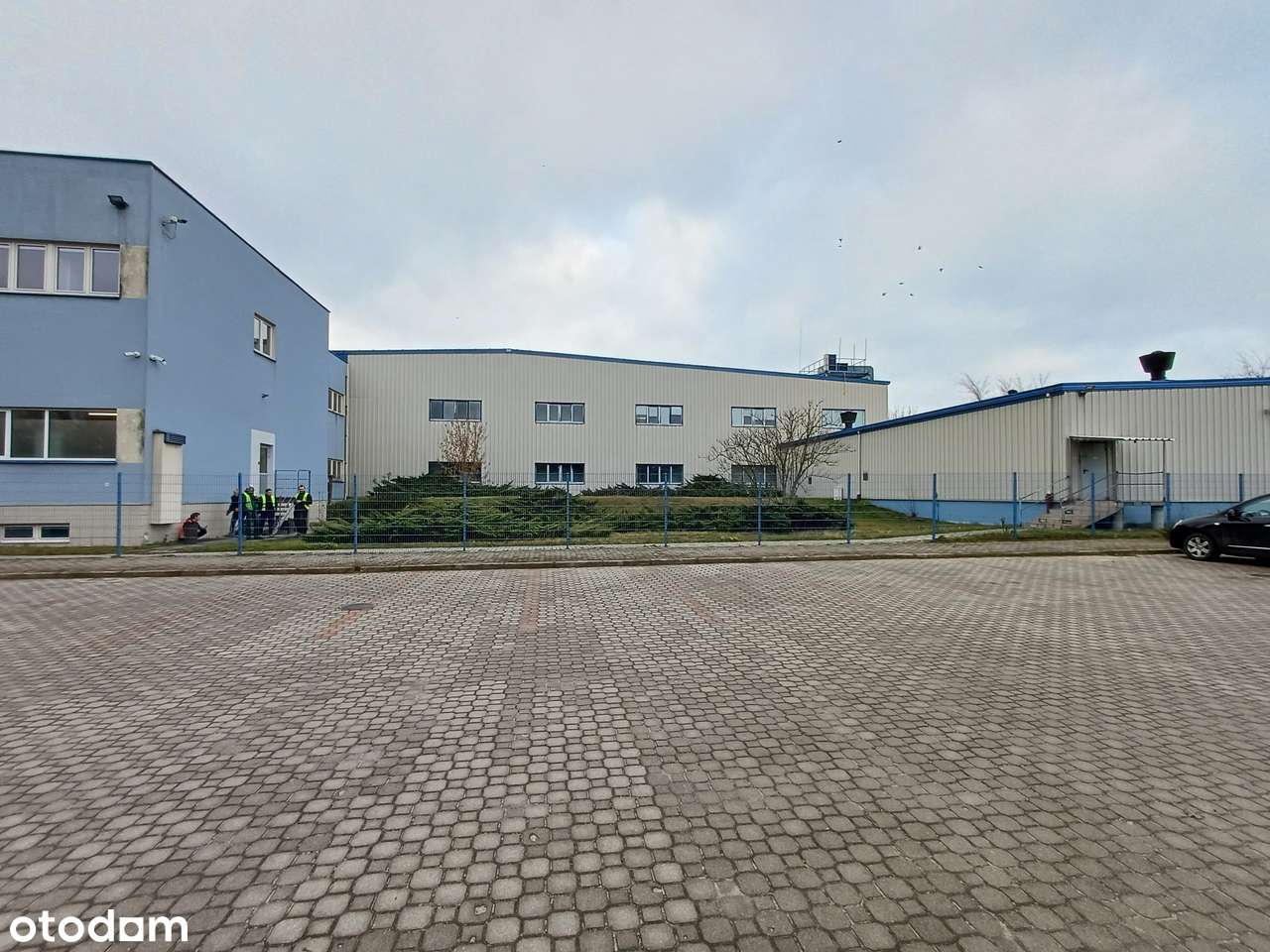 Błonie – teren inwestycyjny z halą i biurem, cena do negocjacji!-4