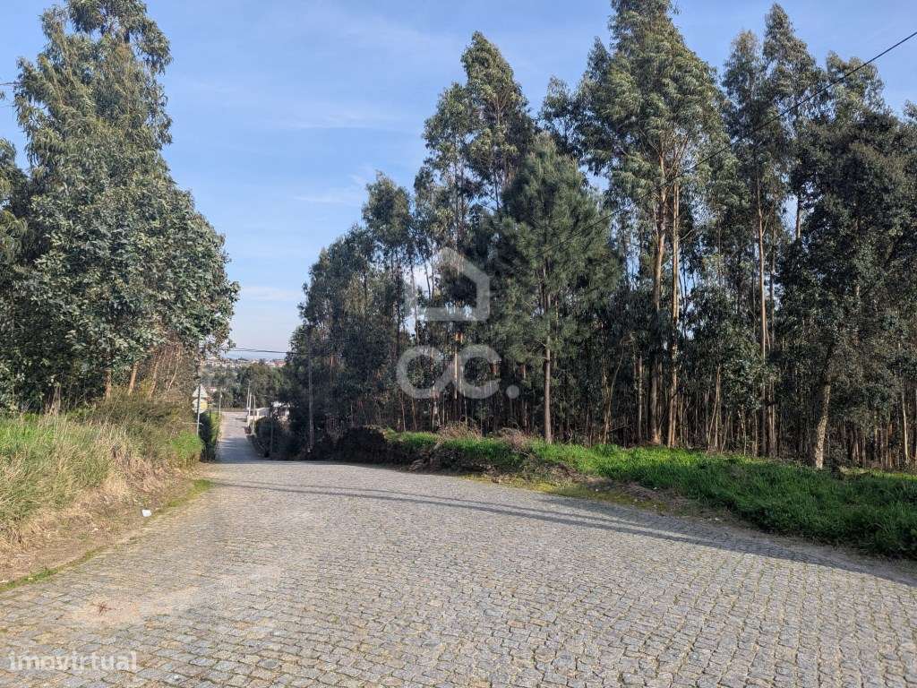 Terreno rústico, para venda - Grande imagem: 5/12