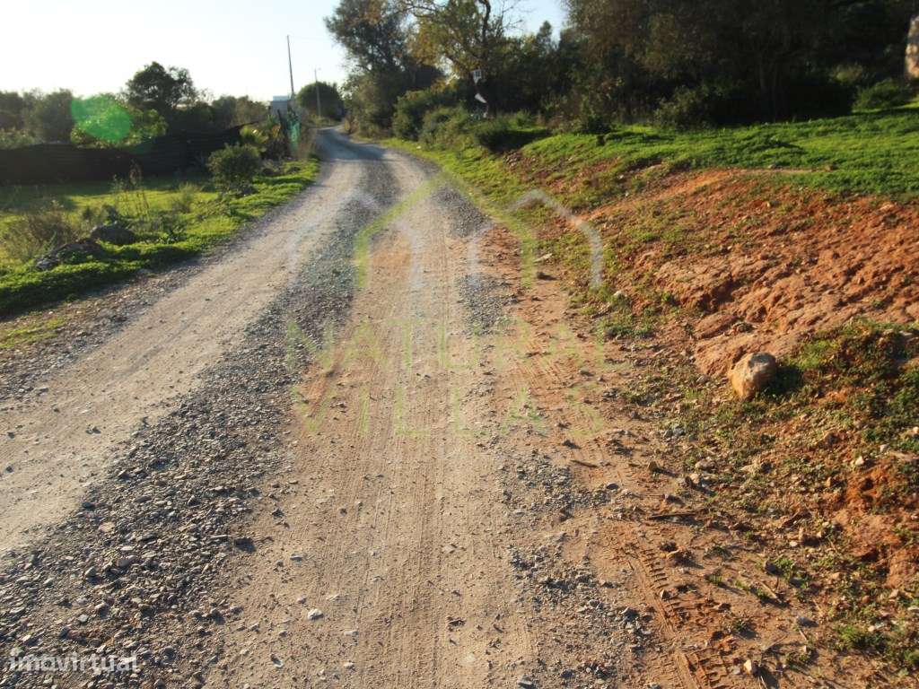 Ruína de Grandes Dimensões em Pechão, Olhão - Grande imagem: 5/7