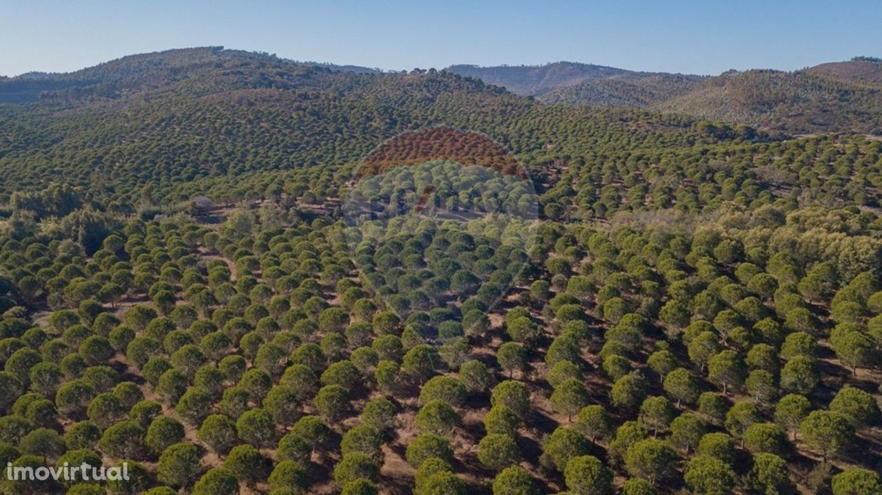 Terreno  para venda