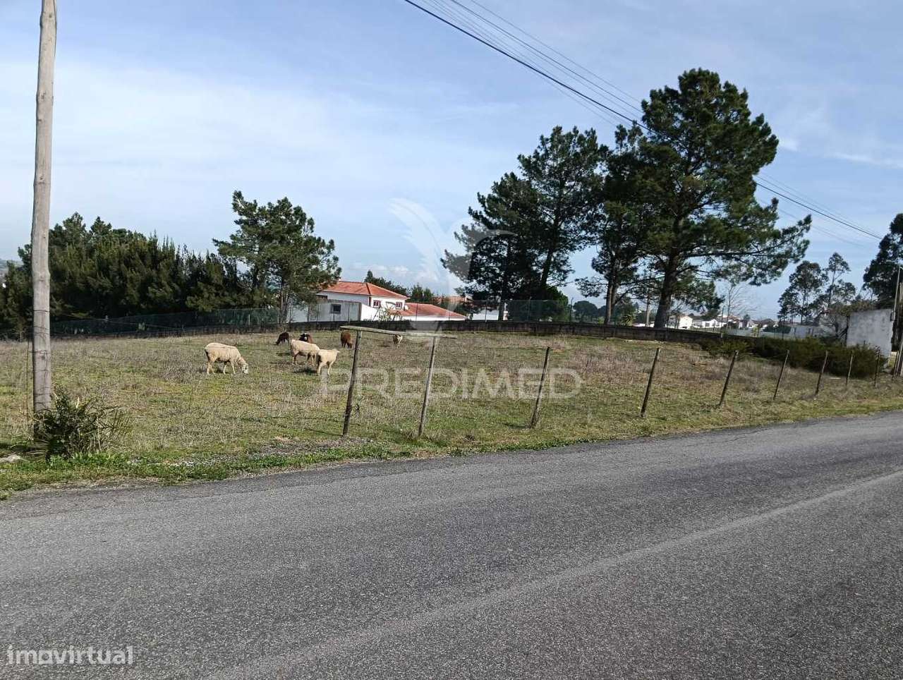 Terreno de 6.200m2 na Lapa (Cartaxo) - Grande imagem: 5/12