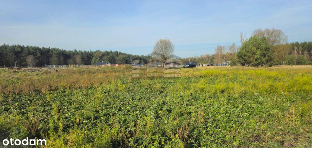 Zamość - 9534m2, WZ na 9domów-doskonała inwestycja - Pełny obrazek: 1/10