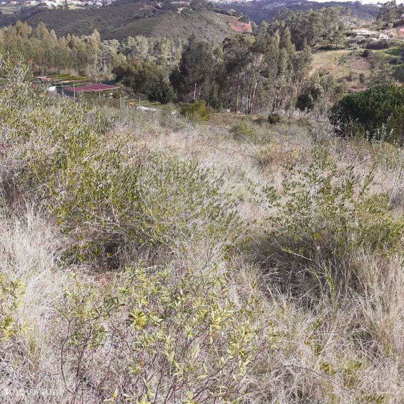 Terreno  para venda - Grande imagem: 4/7