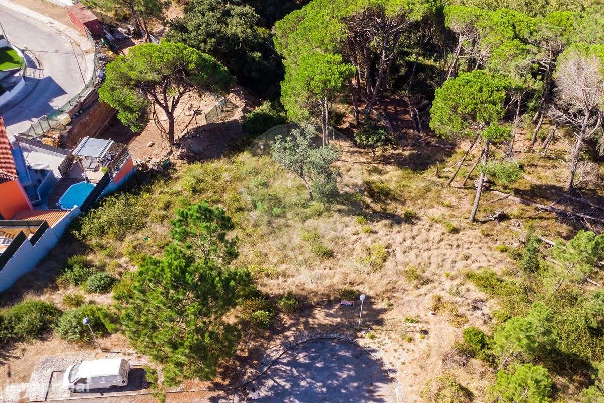 Terreno  para venda - Grande imagem: 4/12