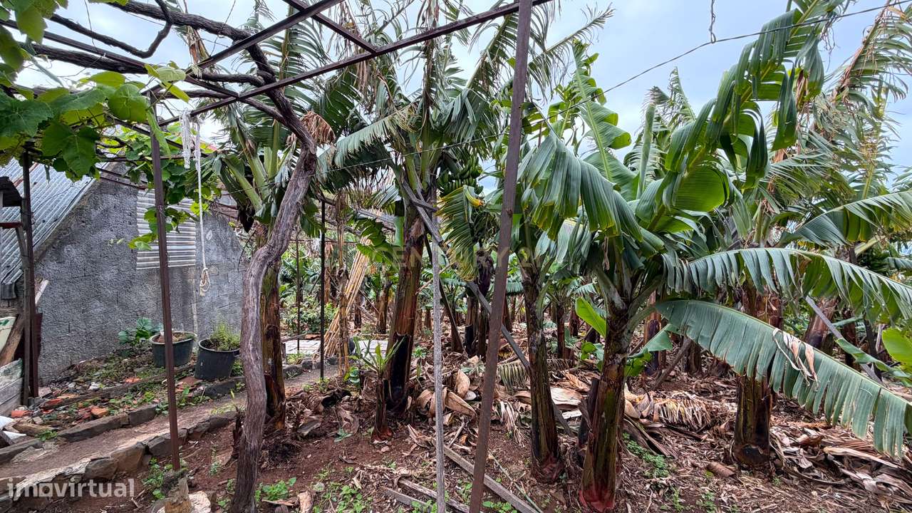 Moradia com terreno de 2000 m² em Ponta do Sol-11