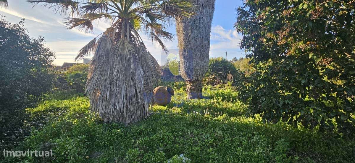 Moradia T3 Cartaxo-6