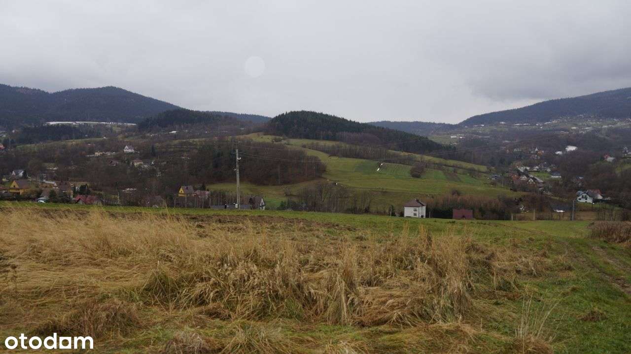 Duża 70 ar widokowa działka Wierzbanowa- Wiśniowa - Pełny obrazek: 5/9