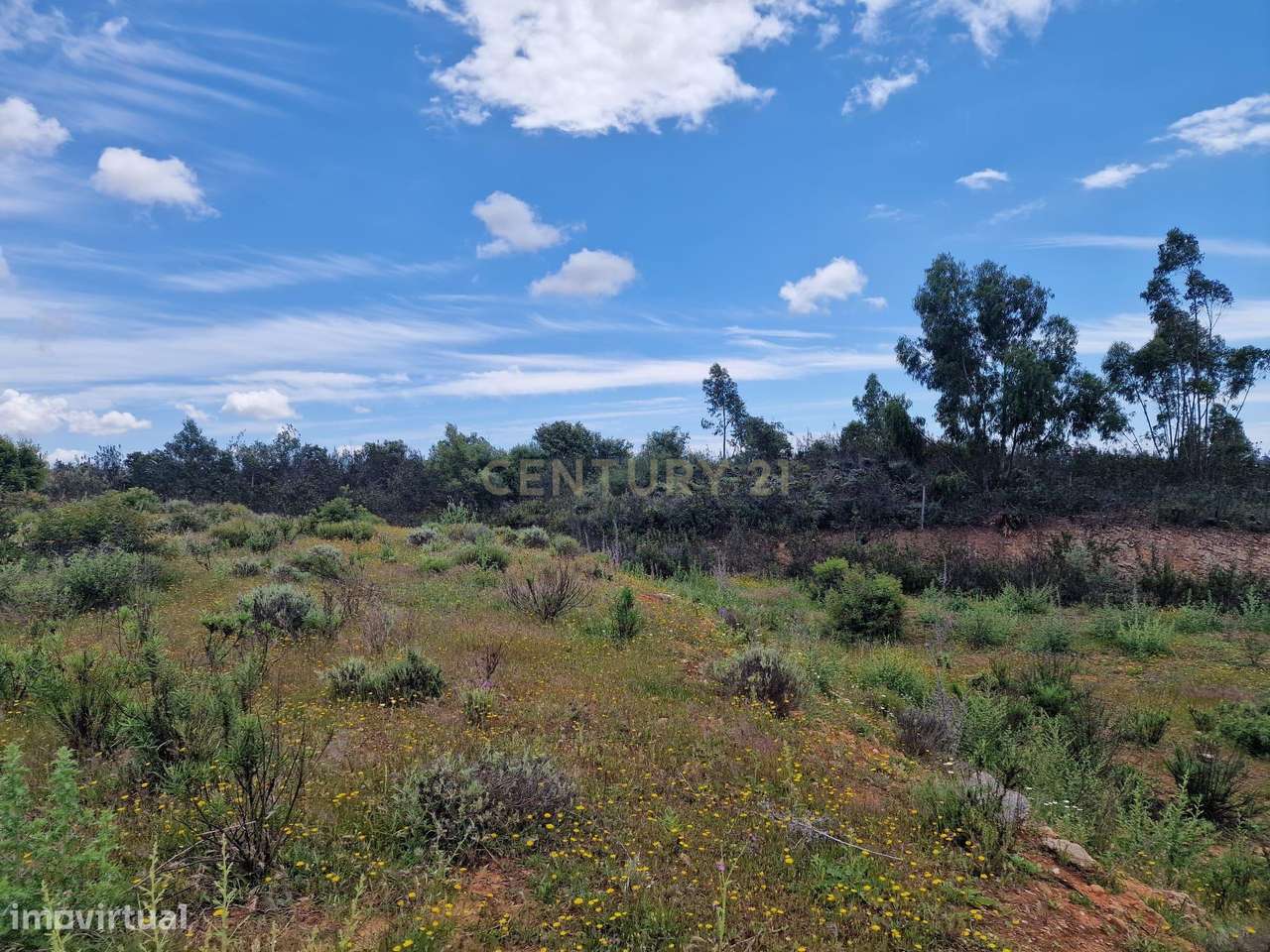 Terreno de 12250m² em Portimão - Oportunidade Única! - Grande imagem: 4/6
