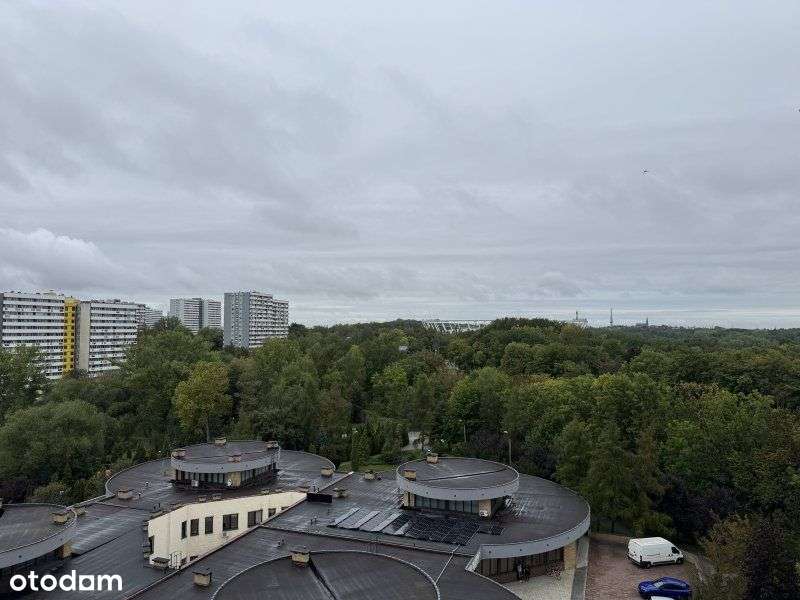 3 pokoje Os. Tysiąclecia, Kukurydza-0