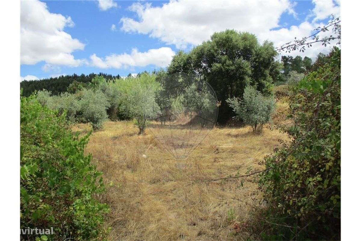 Quinta T0 para venda - Grande imagem: 2/22