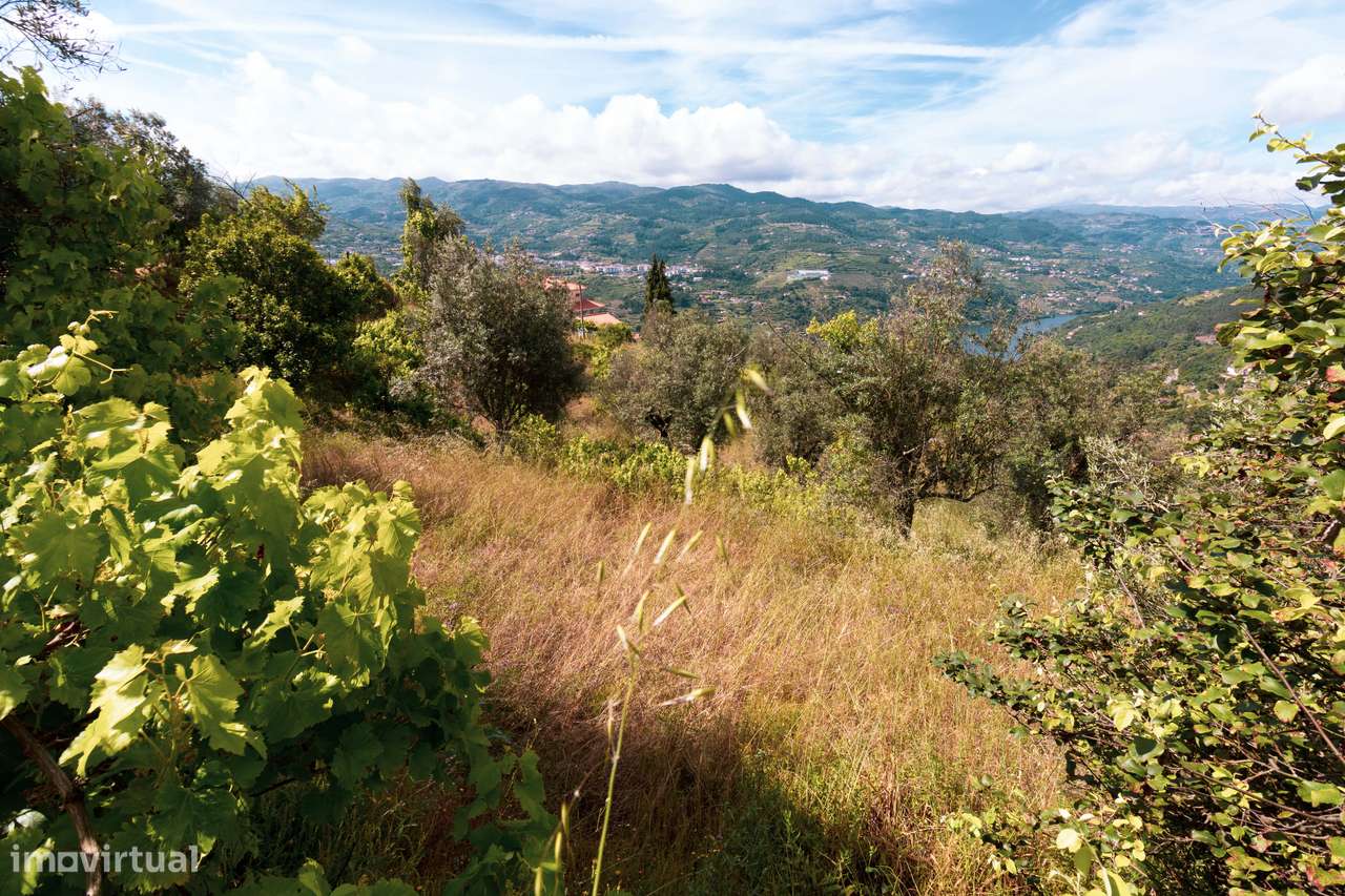TERRENO P/ CONSTRUÇÃO COM VISTA PARA O RIO DOURO-8