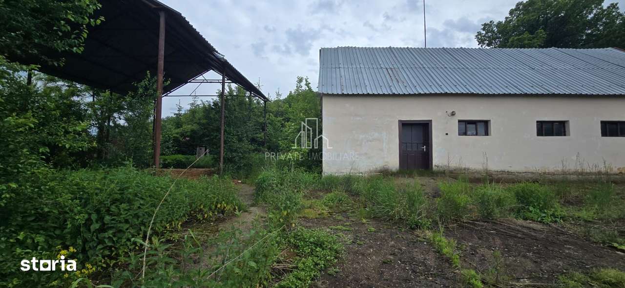 Teren agricol extravilan, 16000 Mp si 1234 Mp, Rora, Sighisoara - Imagine principală: 4/4