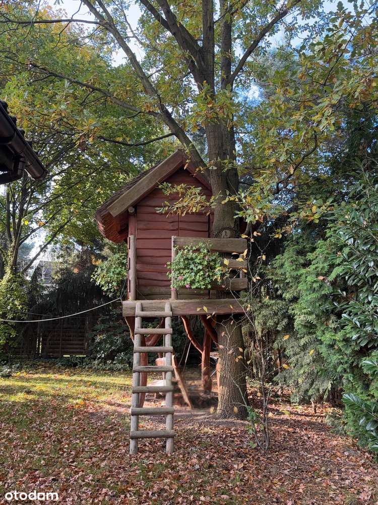 Dom wolnostojący Suchy Las 120 m2 , cicha ,ślepa uliczka - Pełny obrazek: 4/16